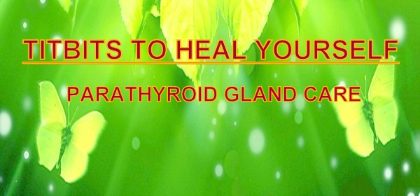 Parathyroid gland care by Dr. Mitthra – HDS