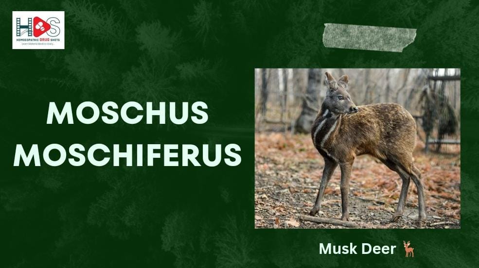 Moschus Moschiferus | Homeopathic Materia Medica | HDS