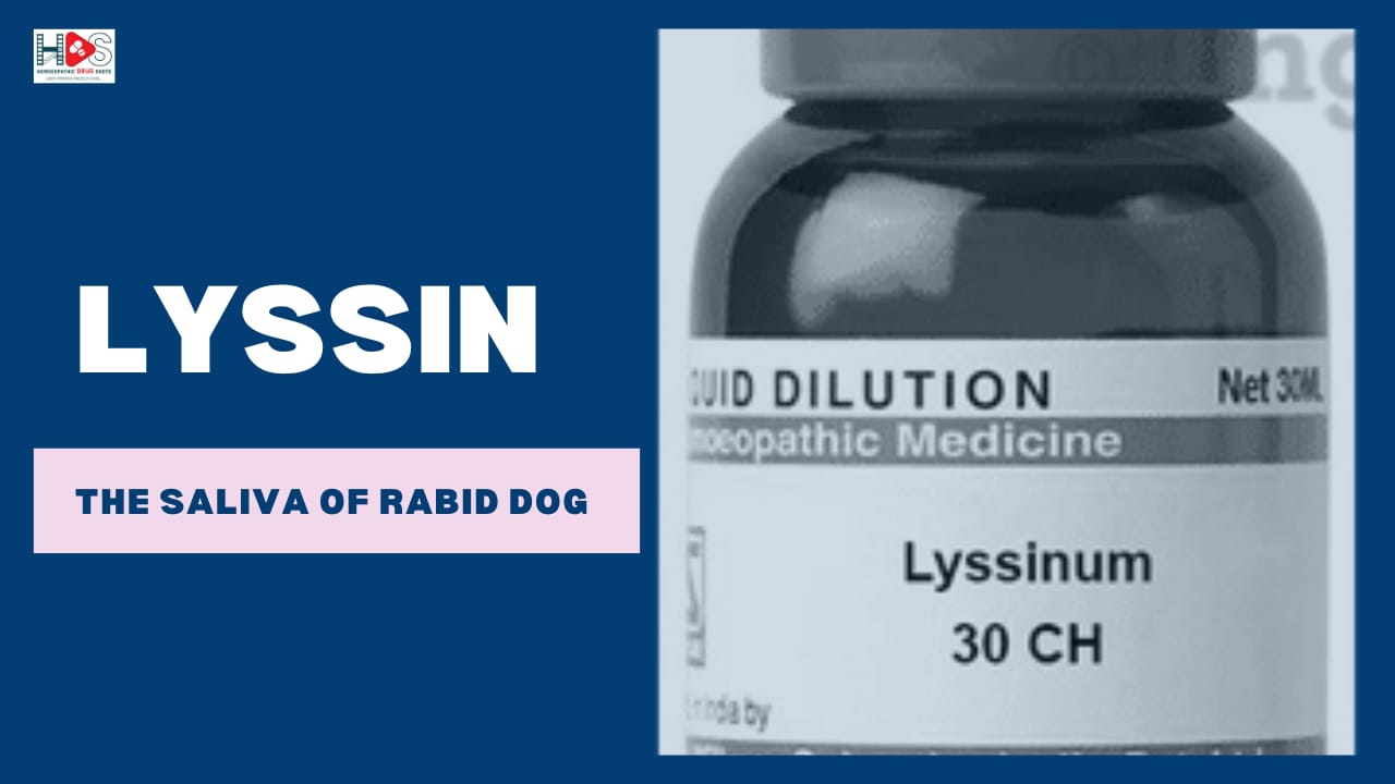 Key Indications of Lyssin | A Nosode of Rabies | HDS