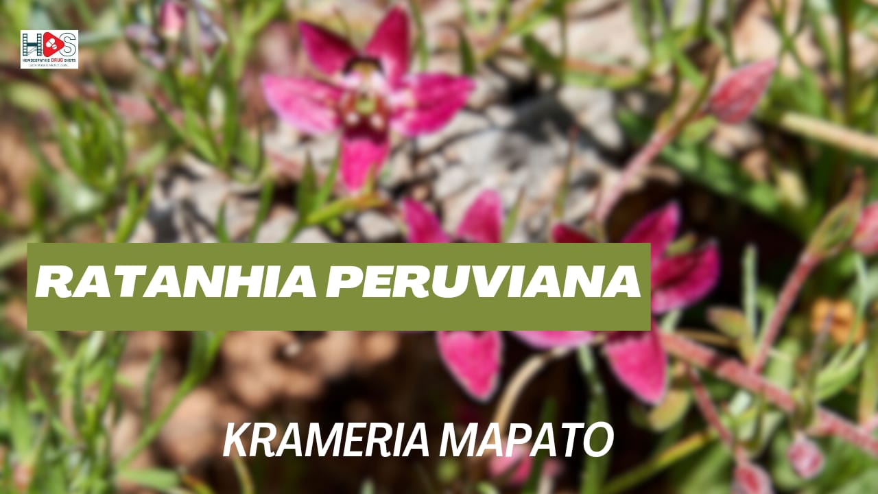 Ratanhia Peruviana | Homeopathic Materia Medica | HDS