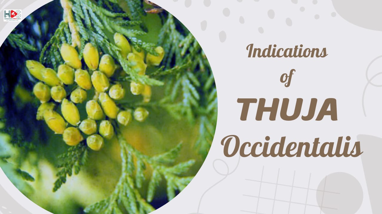 Indications of Thuja Occidentalis | HDS