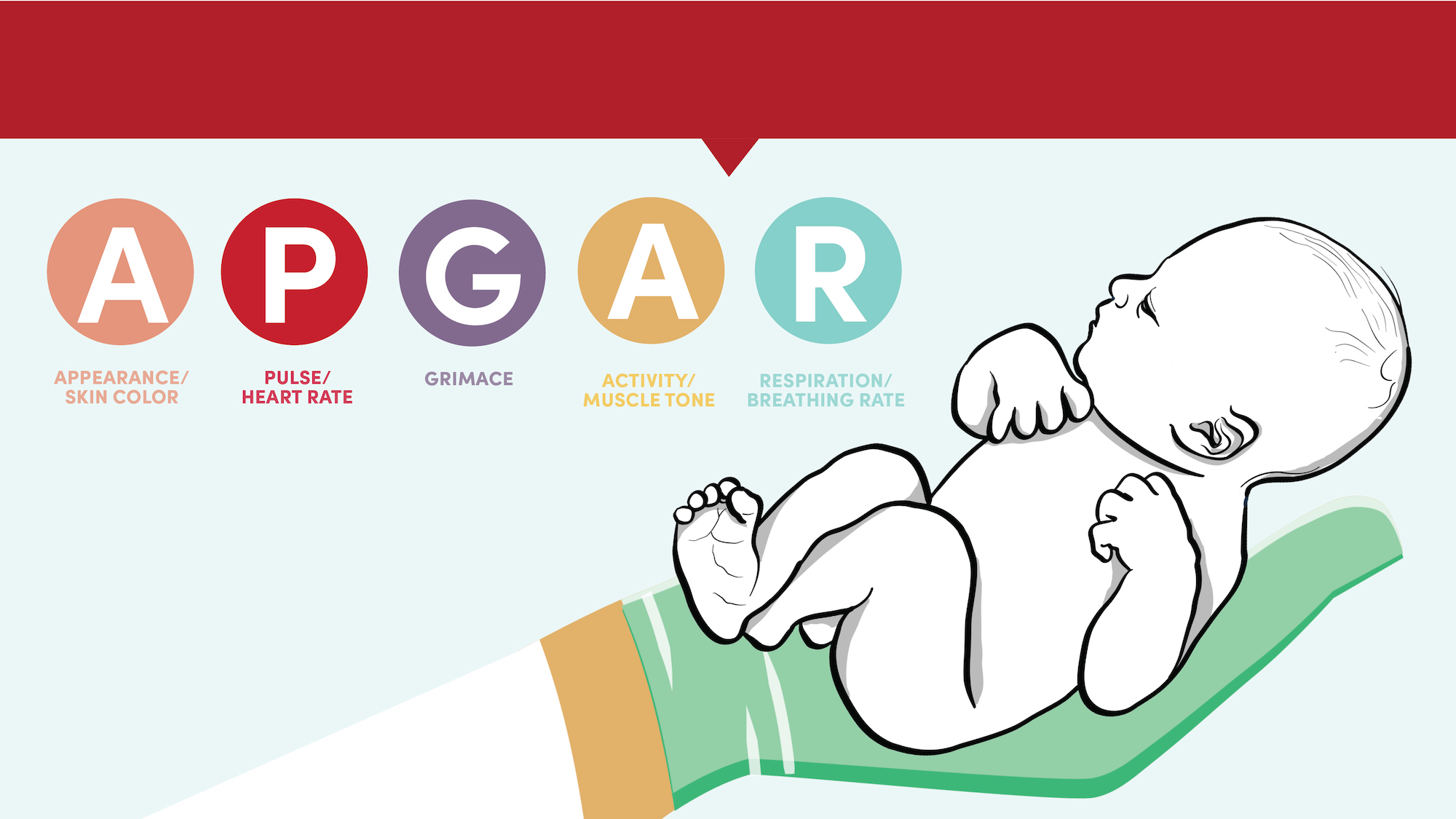 APGAR Score :  A Quick Reference Guide | HDS