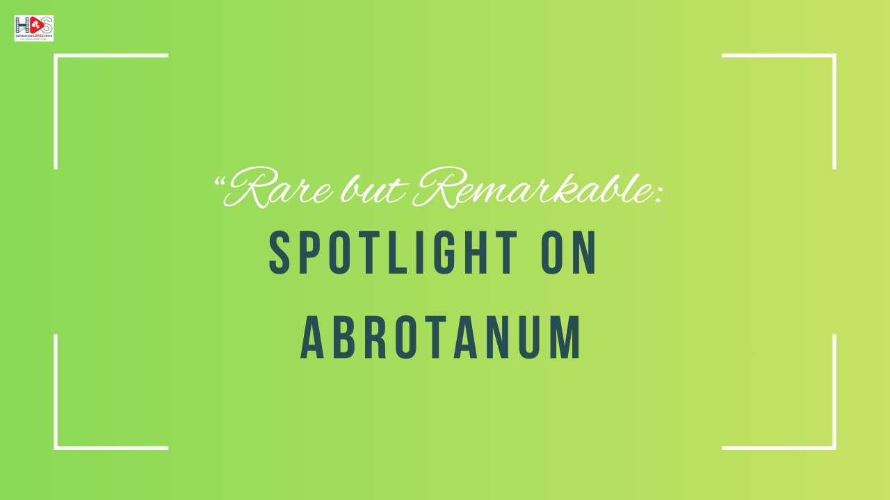 Rare but Remarkable: Spotlight on Abrotanum | HDS