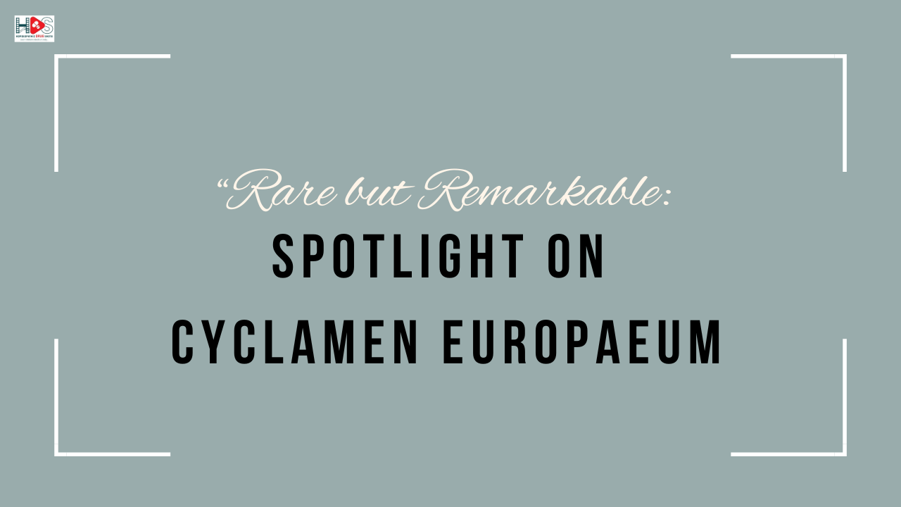 Rare but Remarkable: Spotlight on Cyclamen europaeum | HDS