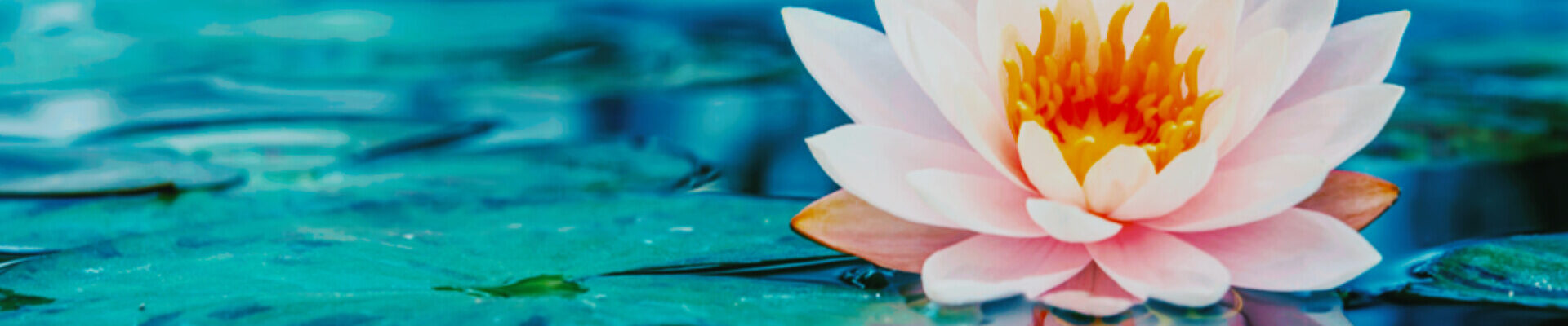 DIFFERENT MIASMS IN HOMEOPATHY