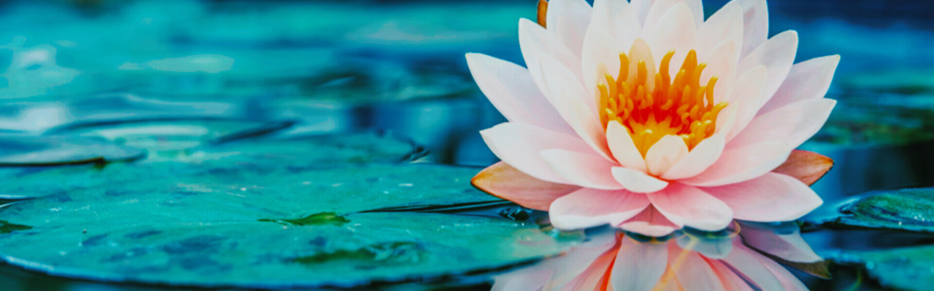 DIFFERENT MIASMS IN HOMEOPATHY
