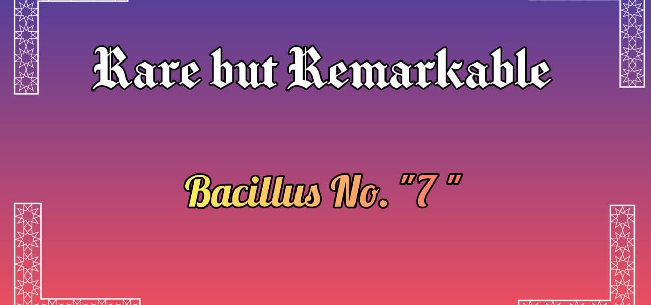 Bacillus No. 7