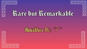Bacillus No.7
