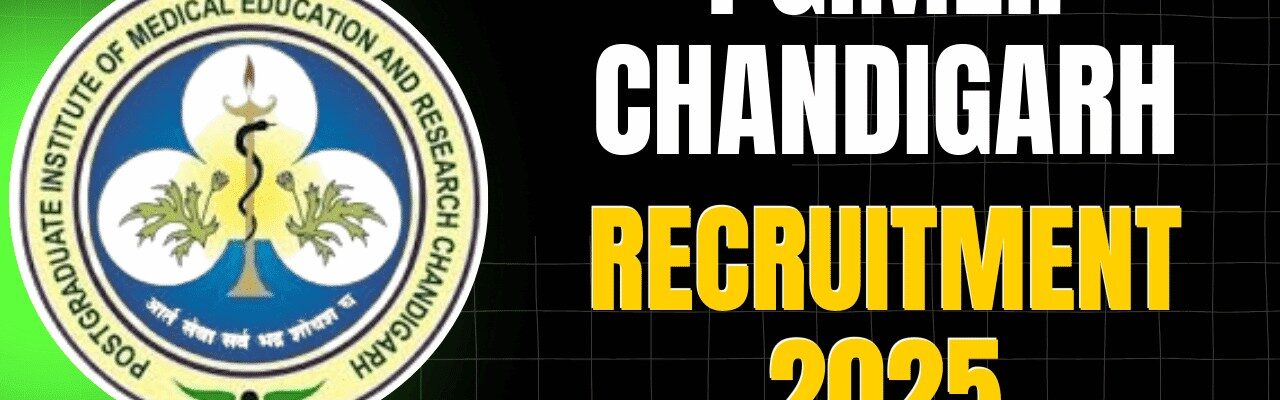 Junior Consultant